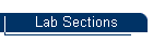 Lab Sections